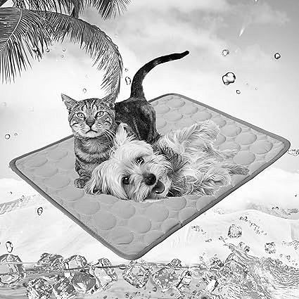 Esterillas para Perros: La Guía Definitiva para Elegir Confort y Estilo